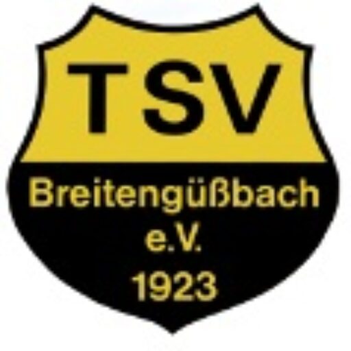You are currently viewing 2000 Vereinsjahre „auf dem Buckel“ – Ehrungsabend beim TSV